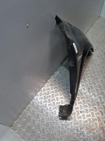 Kotflügel vorne rechts RENAULT MEGANE II (BM0/1_, CM0/1_)