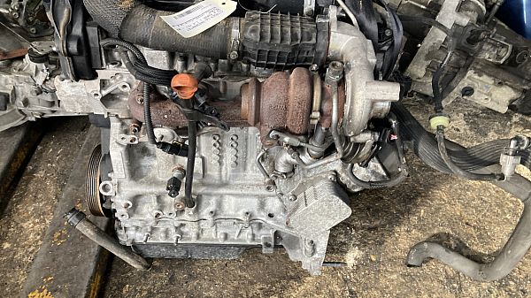 Motor CITROËN C3 II (SC_)