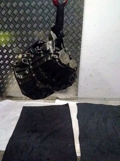 Schaltgetriebe RENAULT SCÉNIC III (JZ0/1_)