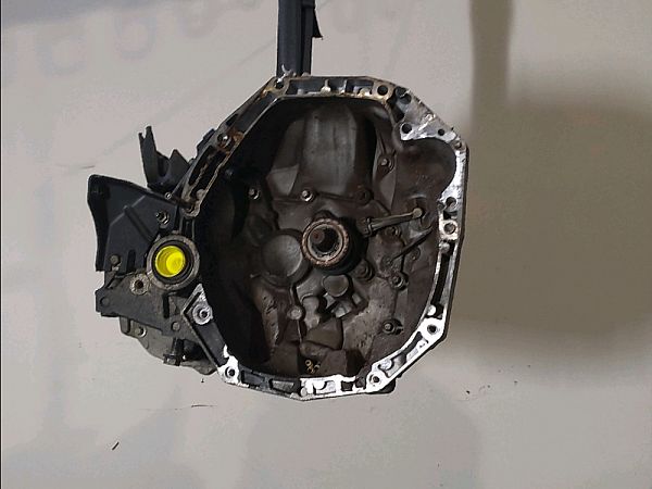 Schaltgetriebe RENAULT CLIO III (BR0/1, CR0/1)