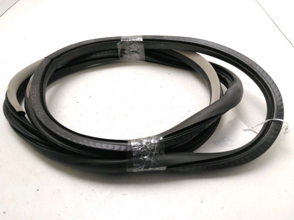 Tür Dichtungsgummi 4-türig RENAULT LATITUDE (L70_)