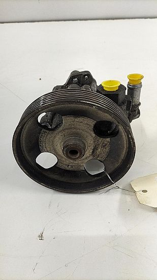 Servopumpe LANCIA PHEDRA (179_)