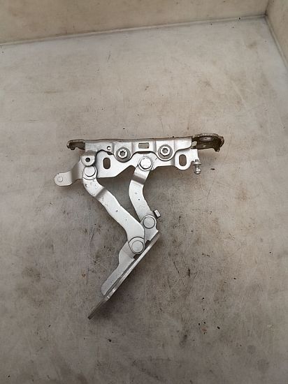Hood hinges