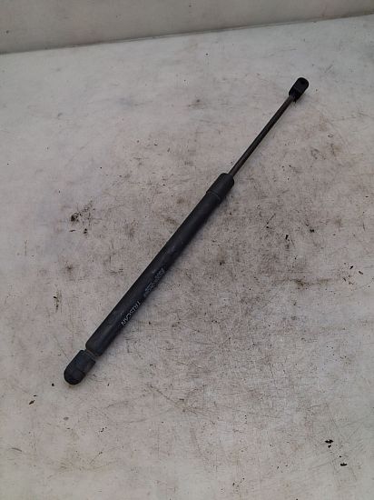 Tailgate strut