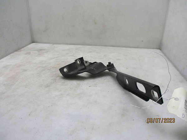 Hood hinges