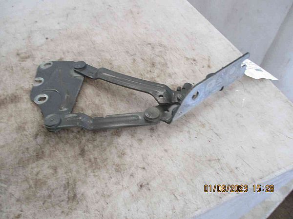 Hood hinges