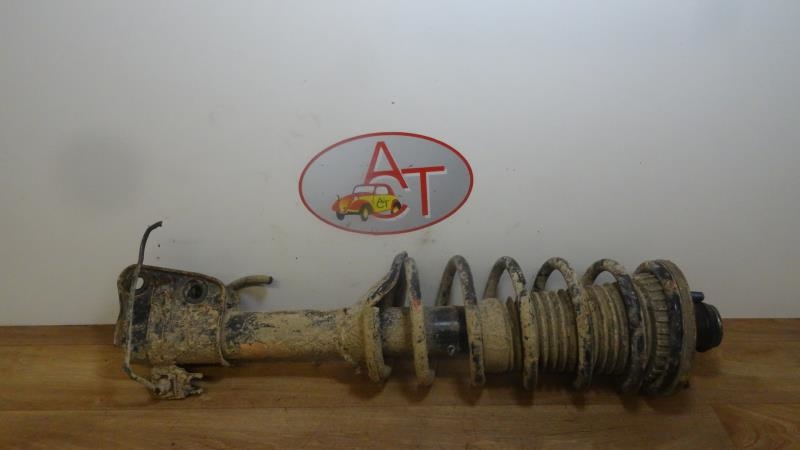 Federbein vorn LAND ROVER FREELANDER (L314)