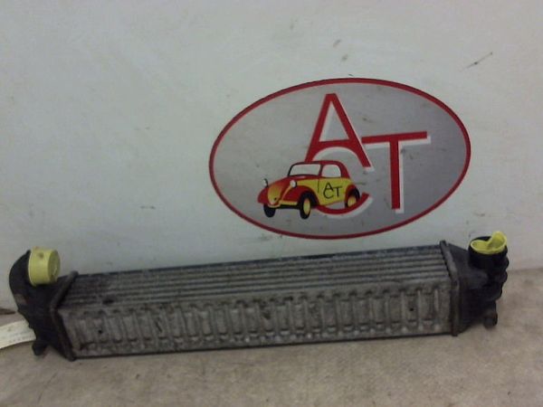 Intercooler radiator