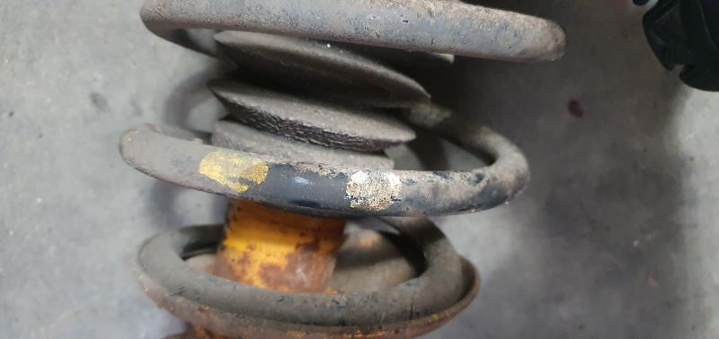 Federbein vorn LAND ROVER FREELANDER (L314)