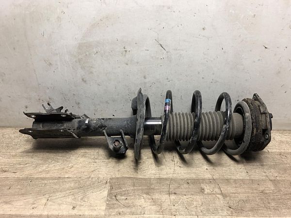 Federbein vorn NISSAN QASHQAI / QASHQAI +2 I (J10, NJ10, JJ10E)