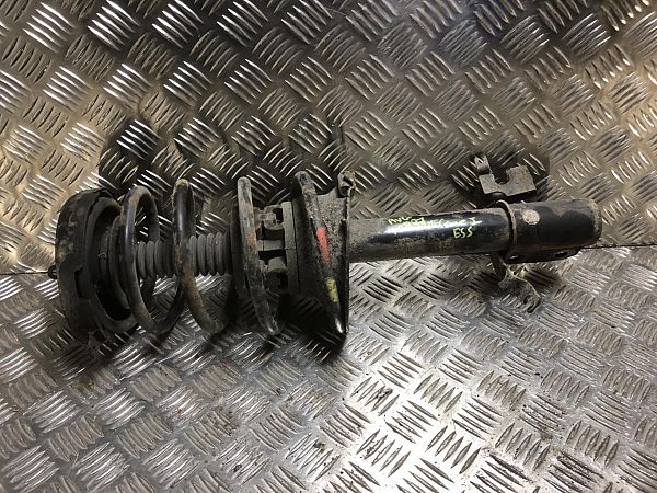 Federbein vorn RENAULT MEGANE I (BA0/1_)