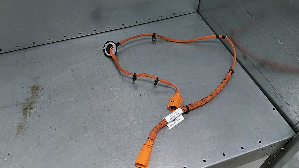 Hochvoltkabel (HV) VW ID.4 (E21)