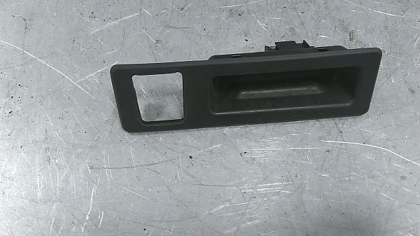 Tailgate exterior handle