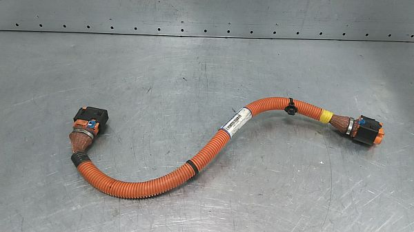 Hochvoltkabel (HV) RENAULT ZOE Hatchback Van (BFM_)