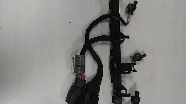 Fuel injector wires