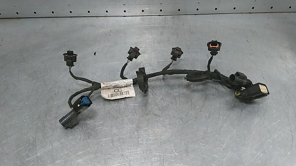 Fuel injector wires
