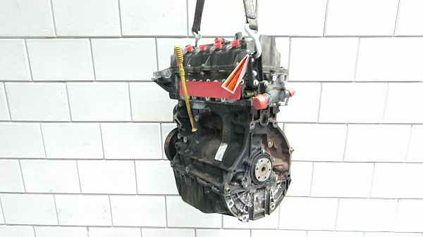 Motor RENAULT MODUS / GRAND MODUS (F/JP0_)