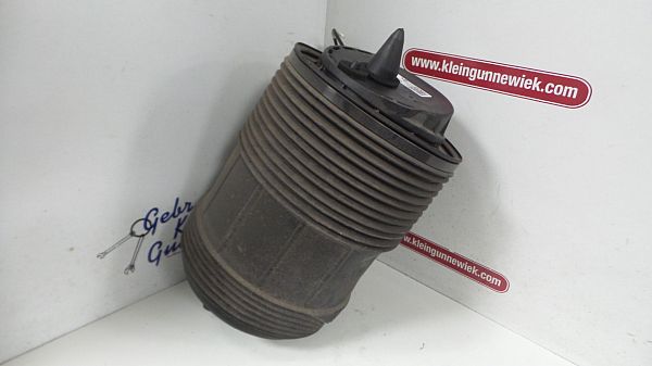 Hydraulisches Federelement AUDI E-TRON (GEN)