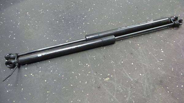 Gaskugel Stossdämpfer RENAULT CLIO IV (BH_)