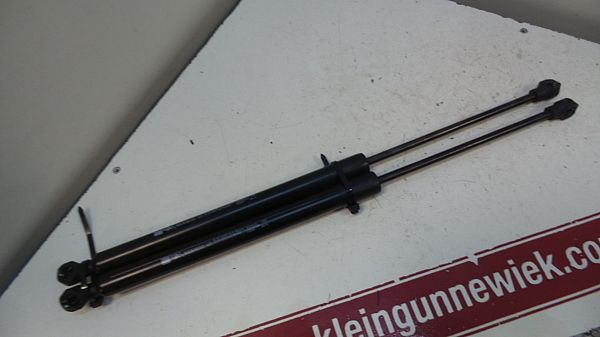 Gaskugel Stossdämpfer RENAULT CLIO IV (BH_)