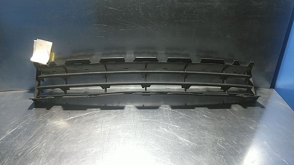 Front bumper lower grill