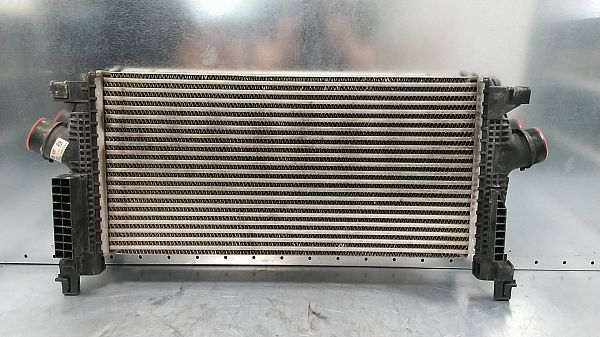 Intercooler radiator