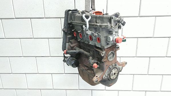Motor FORD KA (RU8)