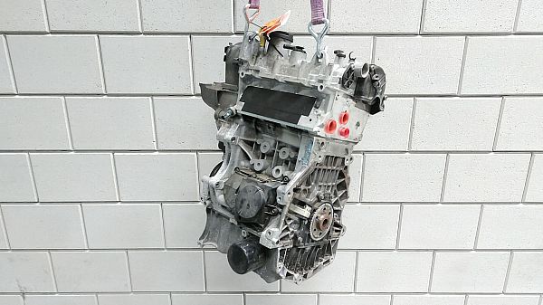 Motor VW POLO V (6R1, 6C1)