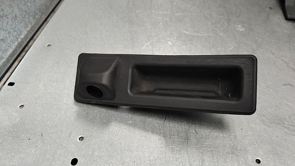 Tailgate handle with camera