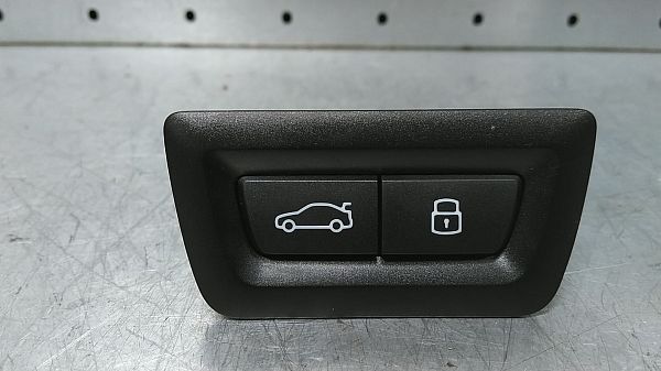 Tailgate/boot open switch button