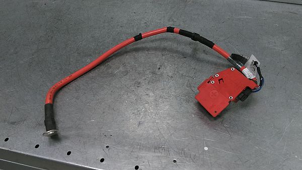 Batteriesensor / IBS Sensor BMW X5 (G05, F95)