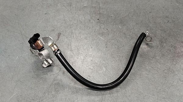 Batteriesensor / IBS Sensor BMW 3 (G20, G80, G28)