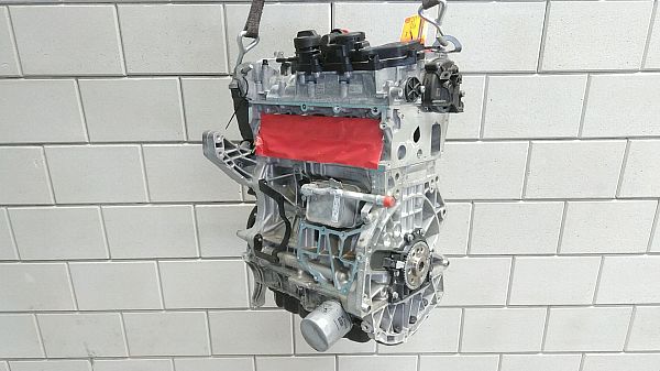 Motor CUPRA FORMENTOR (KM7, KMP)