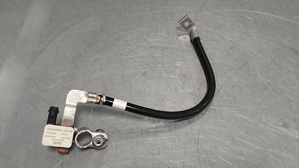 Batteriesensor / IBS Sensor BMW X5 (G05, F95)