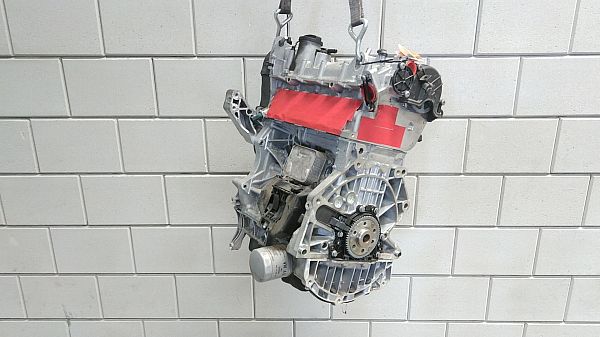 Motor VW MULTIVAN T7 (STM, STN)