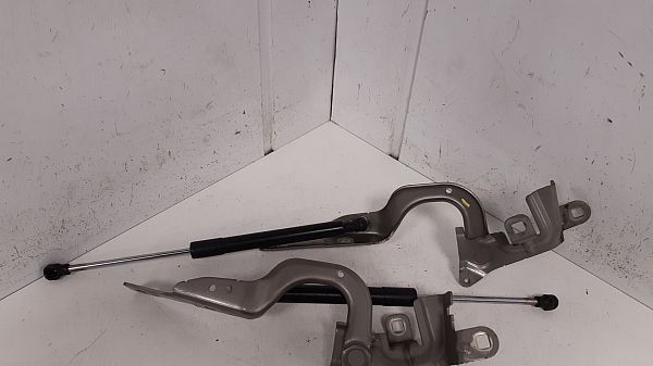Hood hinges