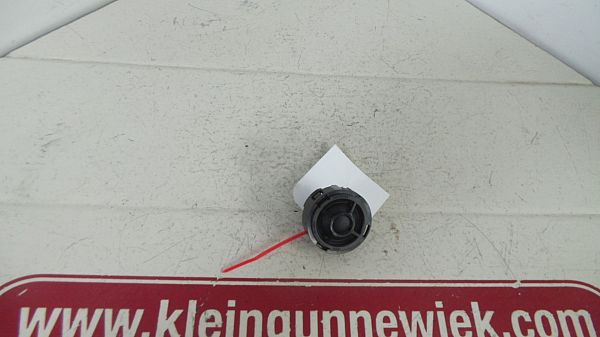 Front door high frequency speaker
