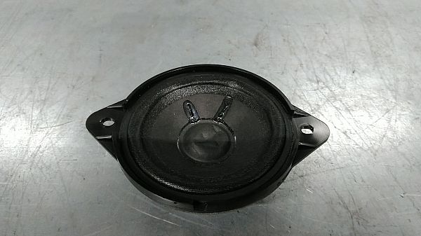 Panel speaker