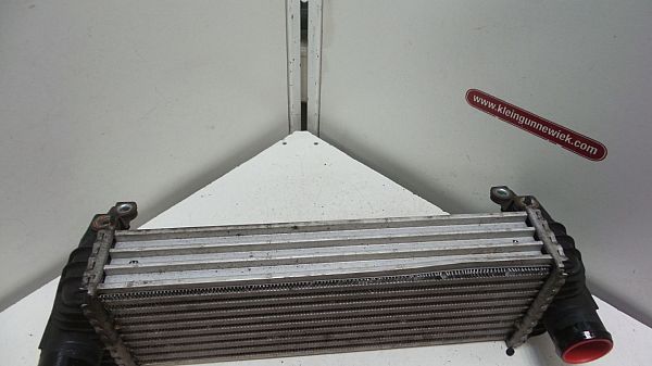 Ladeluftkühler FORD TRANSIT CONNECT (P65_, P70_, P80_)