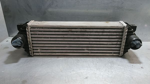Ladeluftkühler FORD TRANSIT CONNECT (P65_, P70_, P80_)