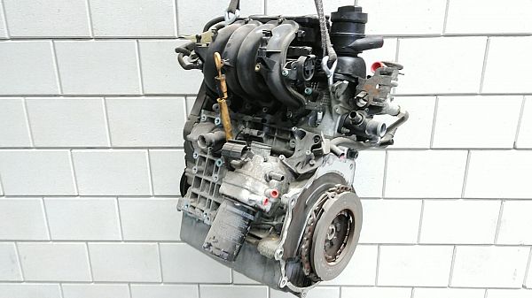 Motor SEAT CORDOBA Vario (6K5)