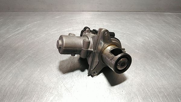 EGR / AGR-Ventil RENAULT MODUS / GRAND MODUS (F/JP0_)