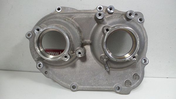 Timing chain cover